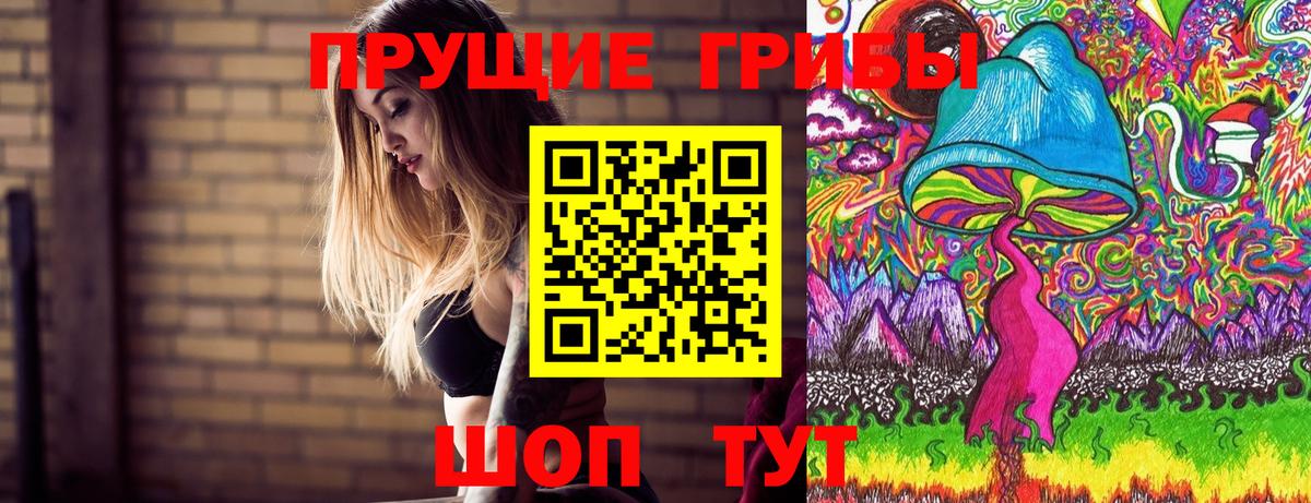 Галлюциногенные грибы Psilocybe  Вход с VPN  Ярославль 